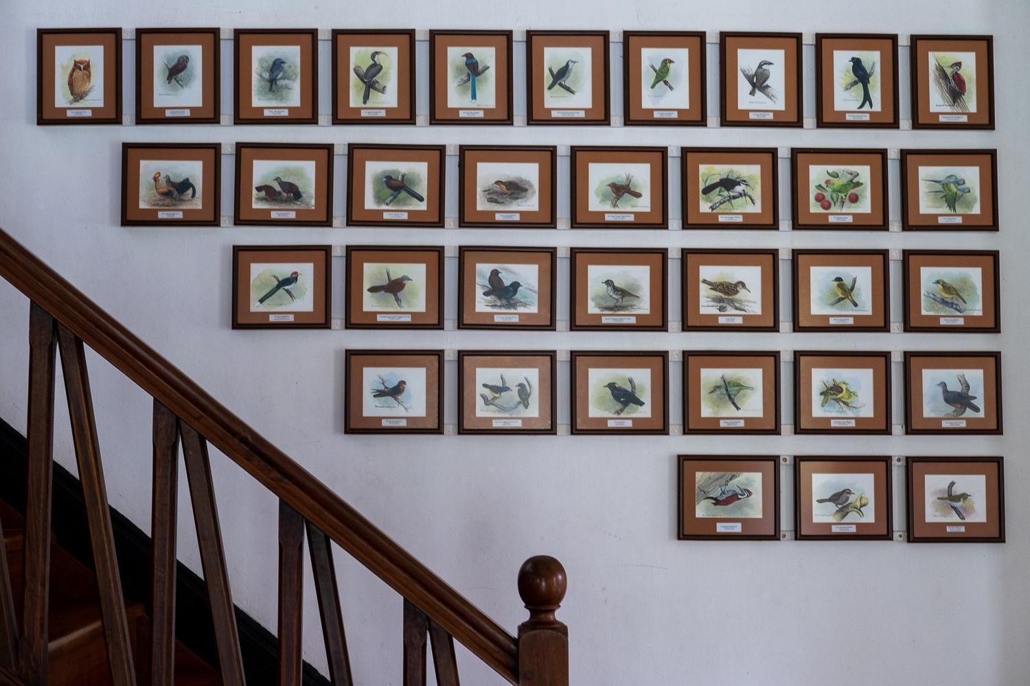 Horathapola Estate Hotel มาราวิลา ภายนอก รูปภาพ